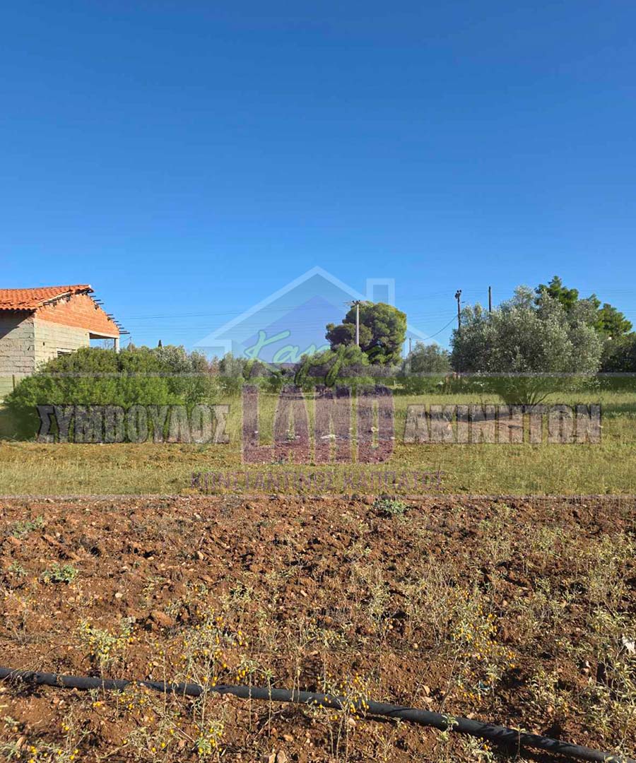 KappaLand - Σύμβουλος Ακινήτων - Κωνσταντίνος Καππάτος