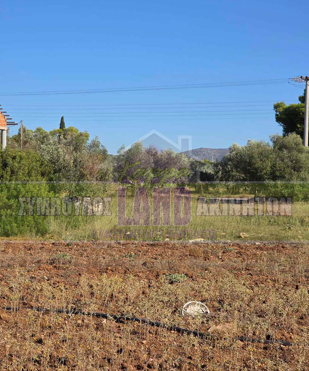 KappaLand - Σύμβουλος Ακινήτων - Κωνσταντίνος Καππάτος