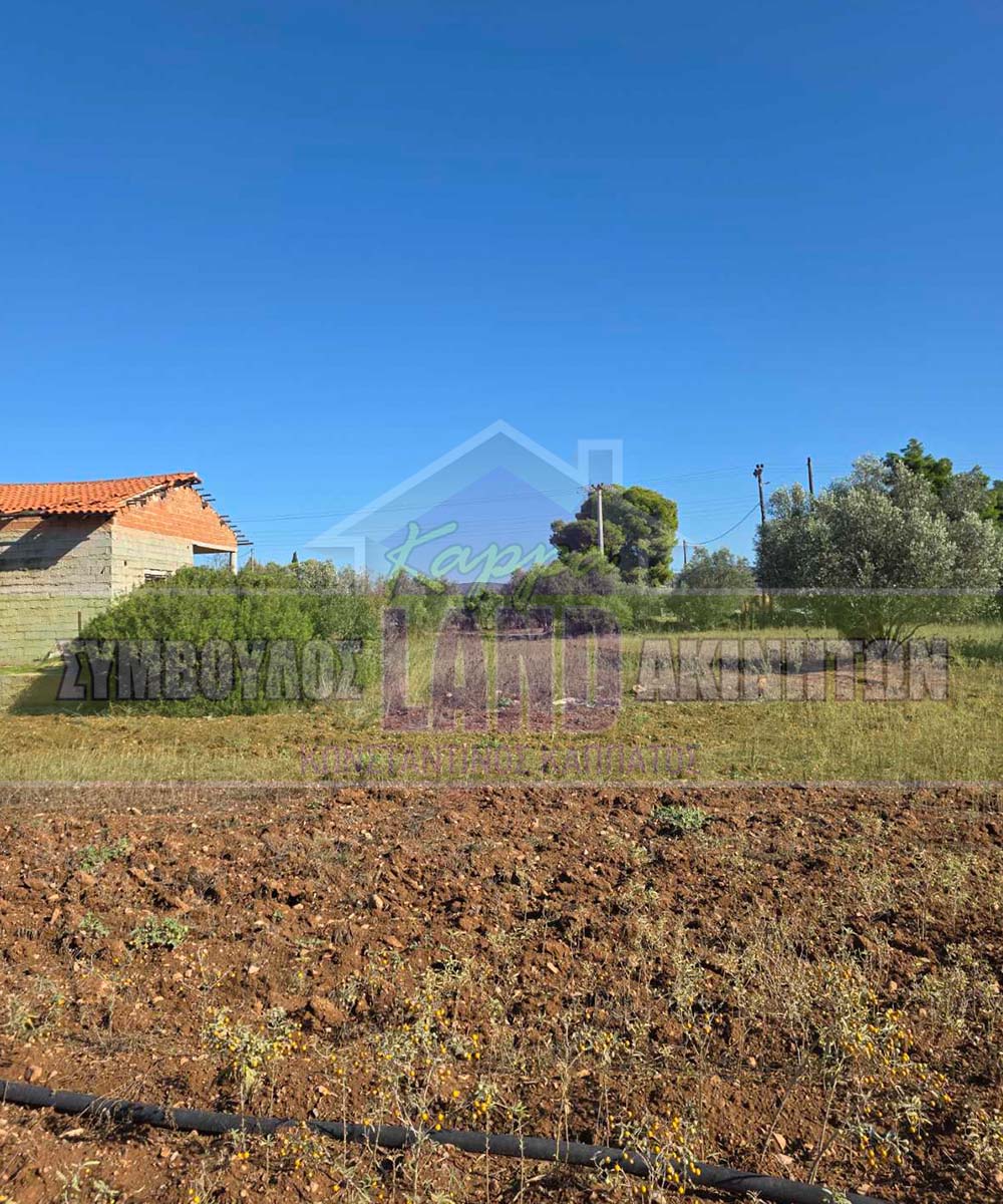 KappaLand - Σύμβουλος Ακινήτων - Κωνσταντίνος Καππάτος