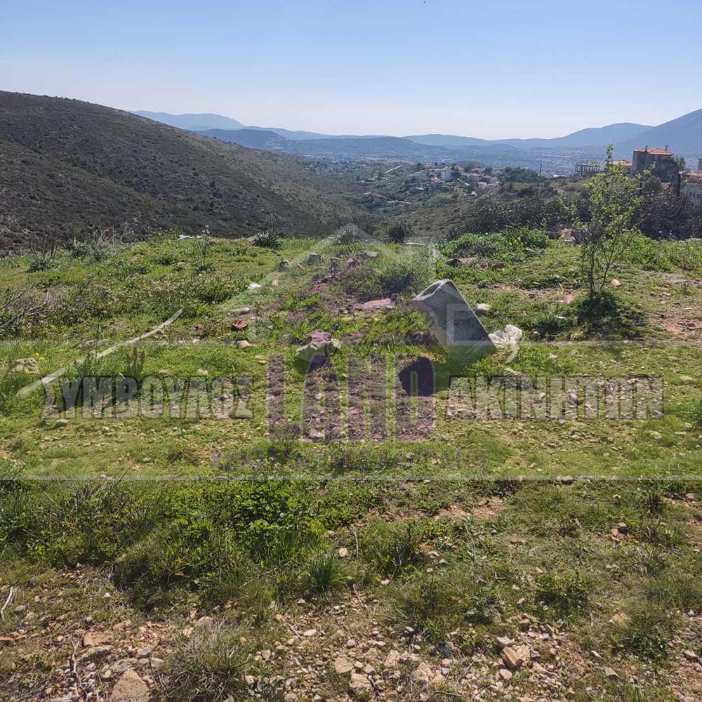 KappaLand - Σύμβουλος Ακινήτων - Κωνσταντίνος Καππάτος