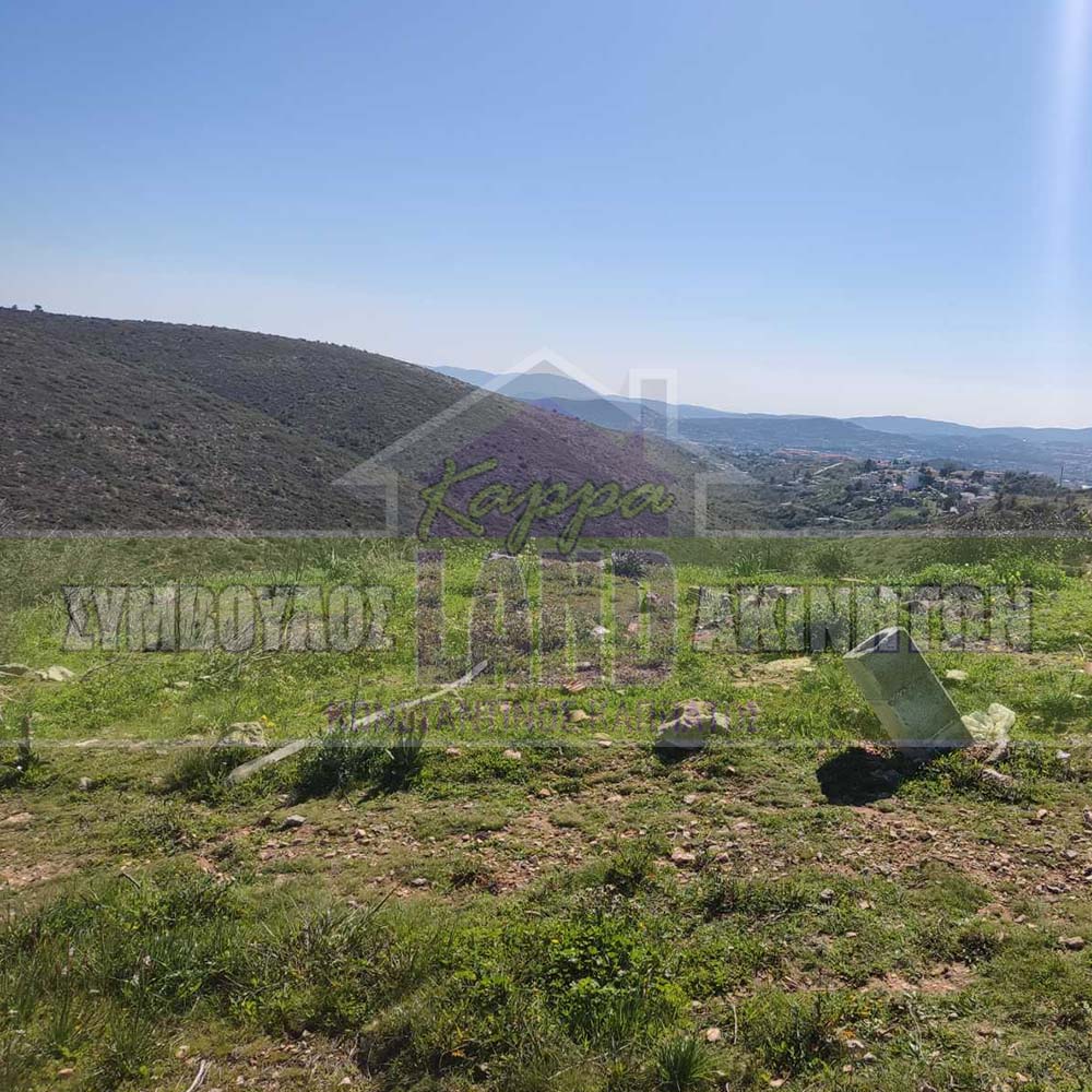 KappaLand - Σύμβουλος Ακινήτων - Κωνσταντίνος Καππάτος