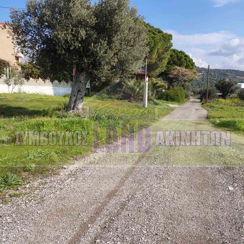 KappaLand - Σύμβουλος Ακινήτων - Κωνσταντίνος Καππάτος