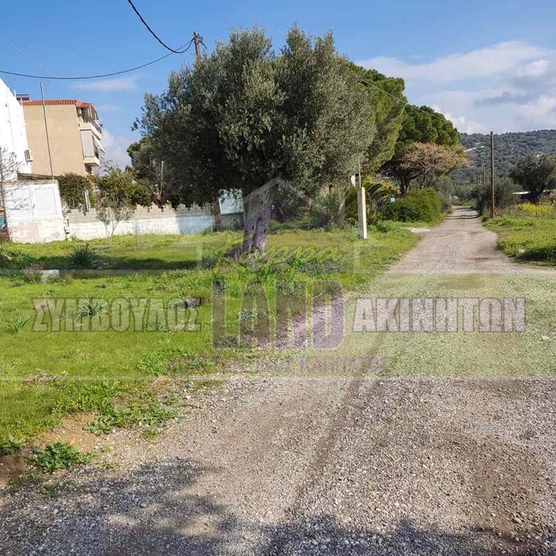 KappaLand - Σύμβουλος Ακινήτων - Κωνσταντίνος Καππάτος