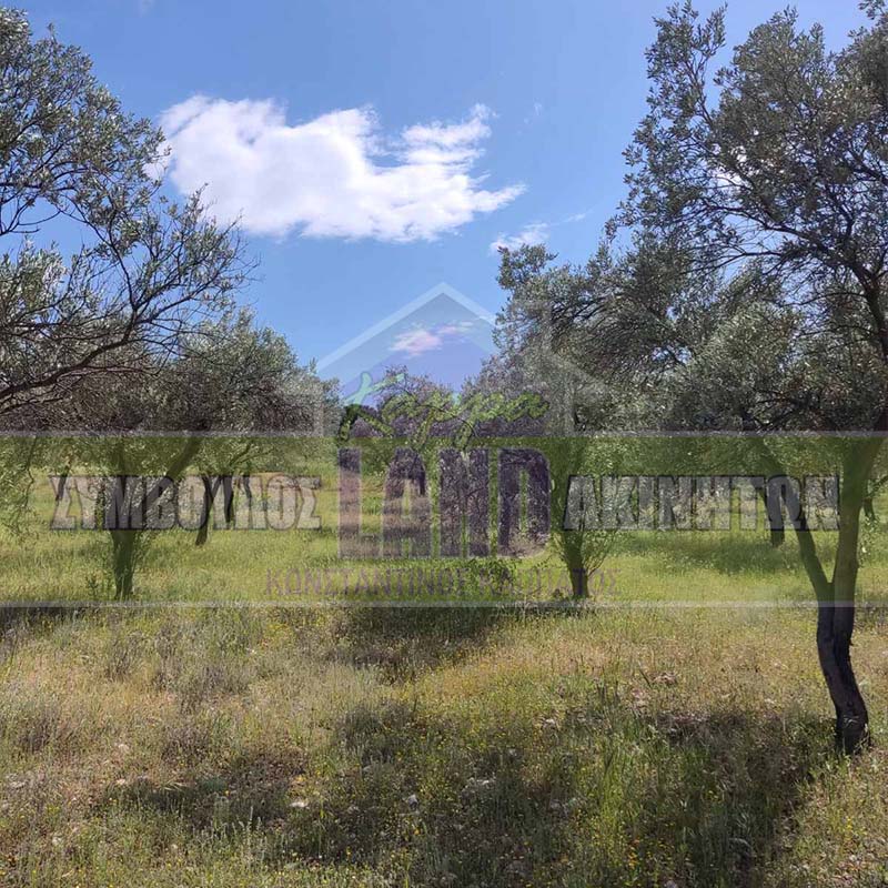 KappaLand - Σύμβουλος Ακινήτων - Κωνσταντίνος Καππάτος