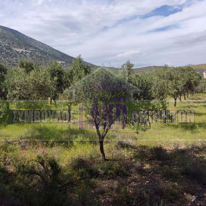 KappaLand - Σύμβουλος Ακινήτων - Κωνσταντίνος Καππάτος