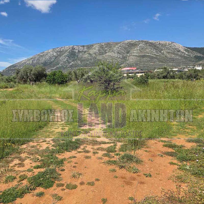 KappaLand - Σύμβουλος Ακινήτων - Κωνσταντίνος Καππάτος