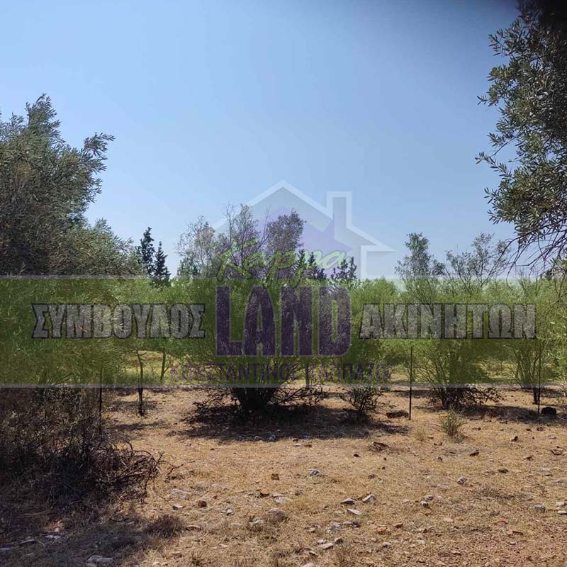 KappaLand - Σύμβουλος Ακινήτων - Κωνσταντίνος Καππάτος