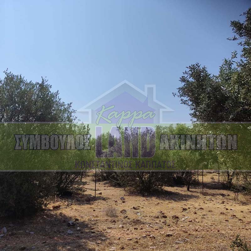 KappaLand - Σύμβουλος Ακινήτων - Κωνσταντίνος Καππάτος