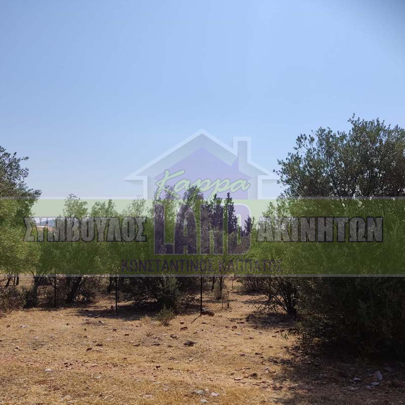 KappaLand - Σύμβουλος Ακινήτων - Κωνσταντίνος Καππάτος