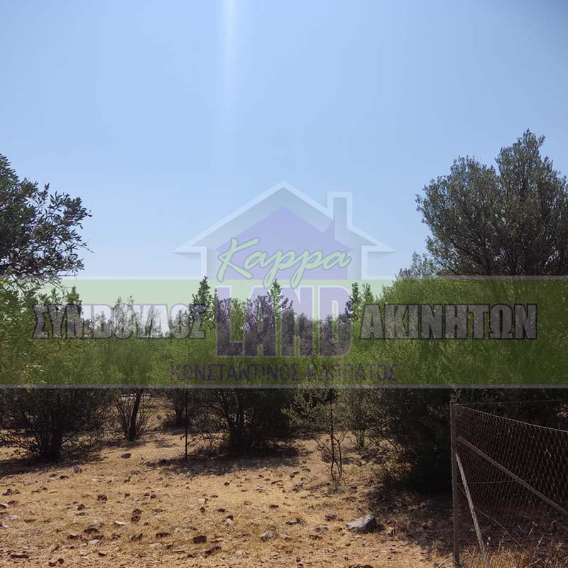 KappaLand - Σύμβουλος Ακινήτων - Κωνσταντίνος Καππάτος