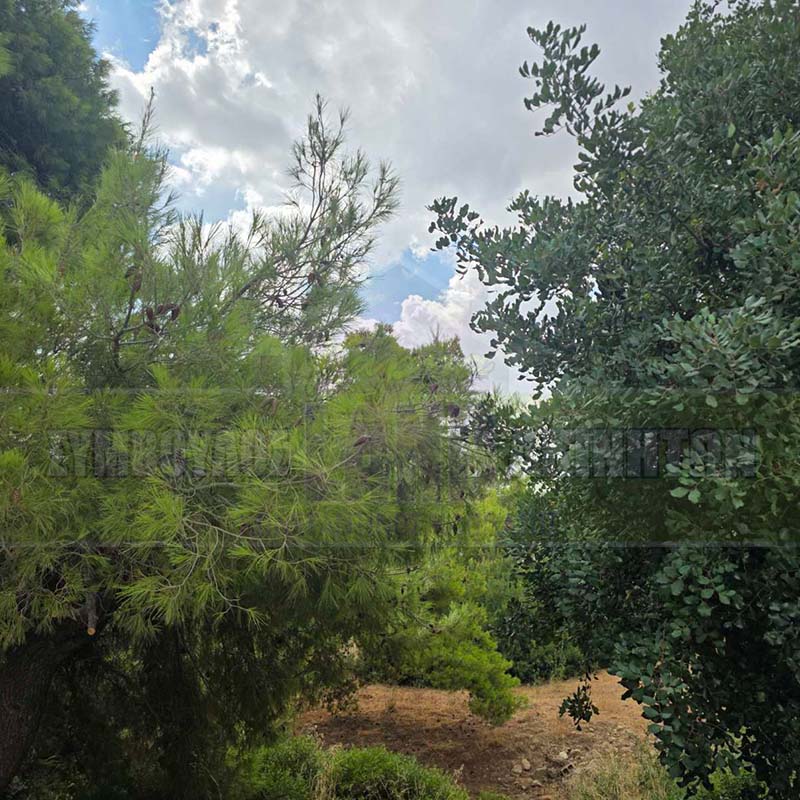 KappaLand - Σύμβουλος Ακινήτων - Κωνσταντίνος Καππάτος