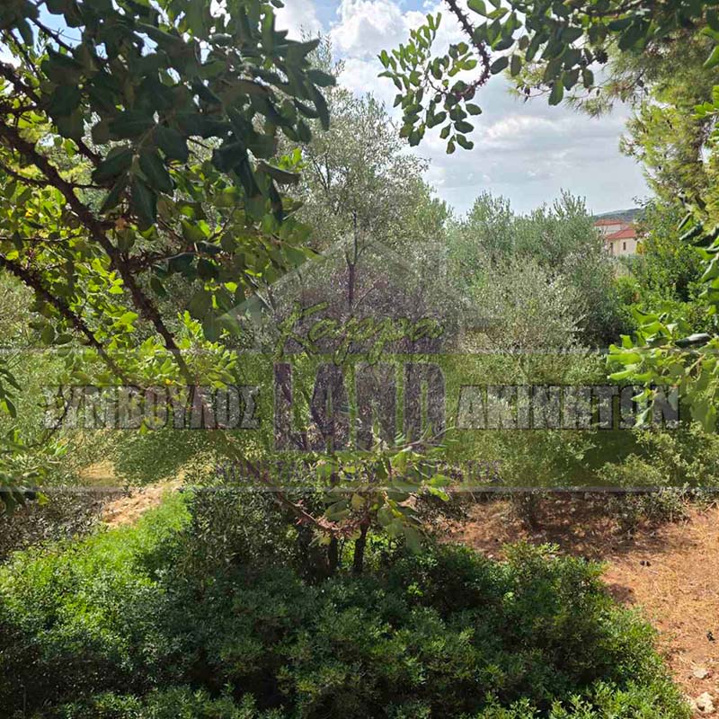 KappaLand - Σύμβουλος Ακινήτων - Κωνσταντίνος Καππάτος