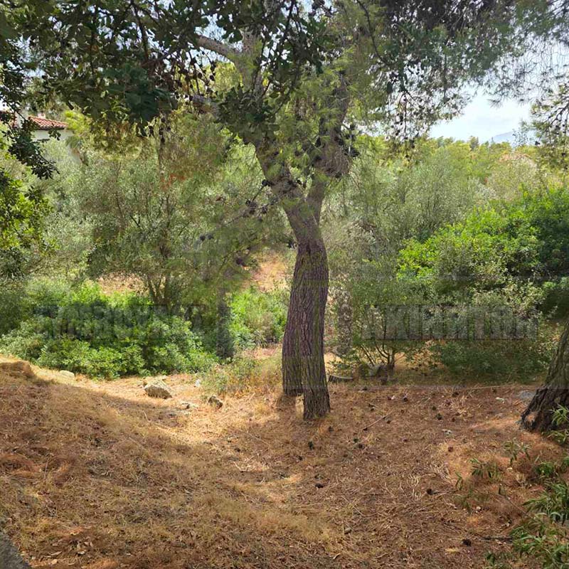 KappaLand - Σύμβουλος Ακινήτων - Κωνσταντίνος Καππάτος