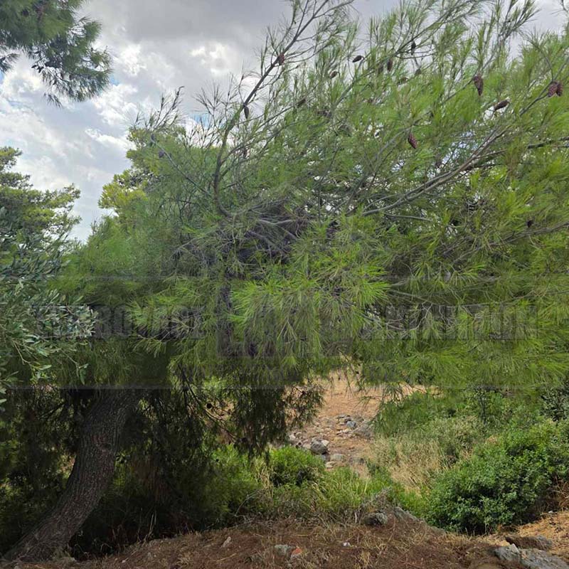 KappaLand - Σύμβουλος Ακινήτων - Κωνσταντίνος Καππάτος