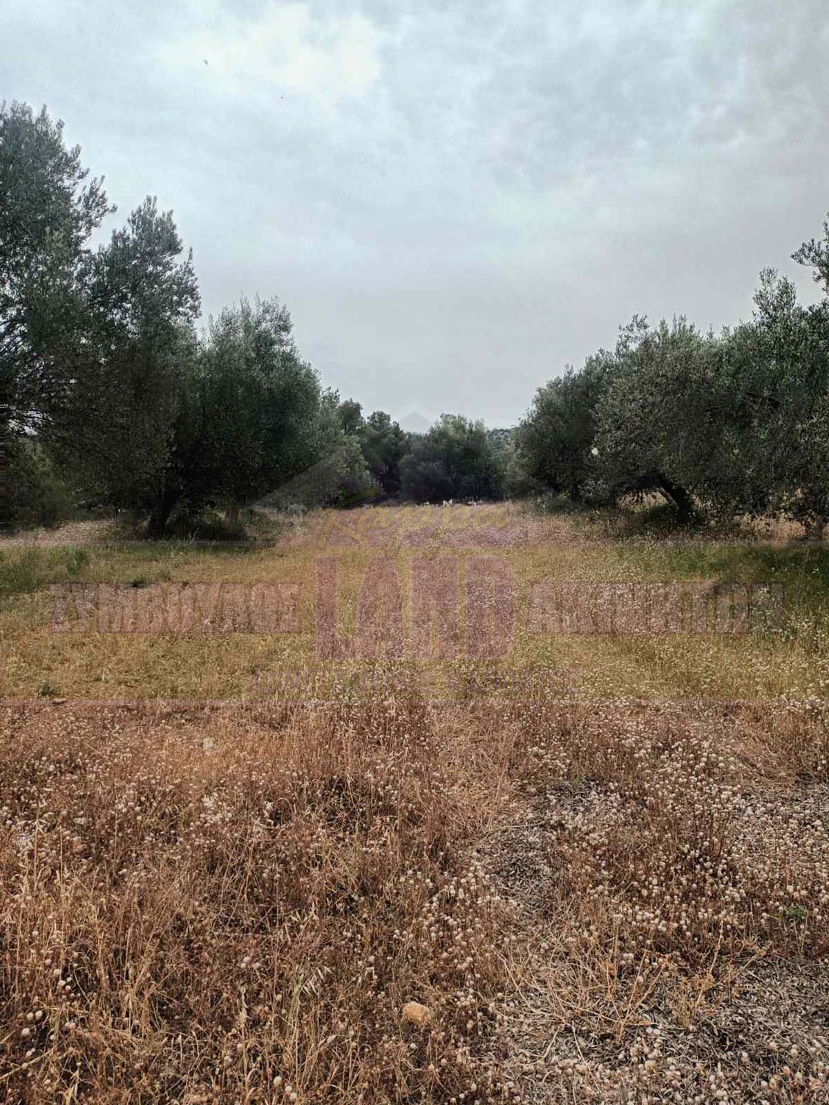 KappaLand - Σύμβουλος Ακινήτων - Κωνσταντίνος Καππάτος
