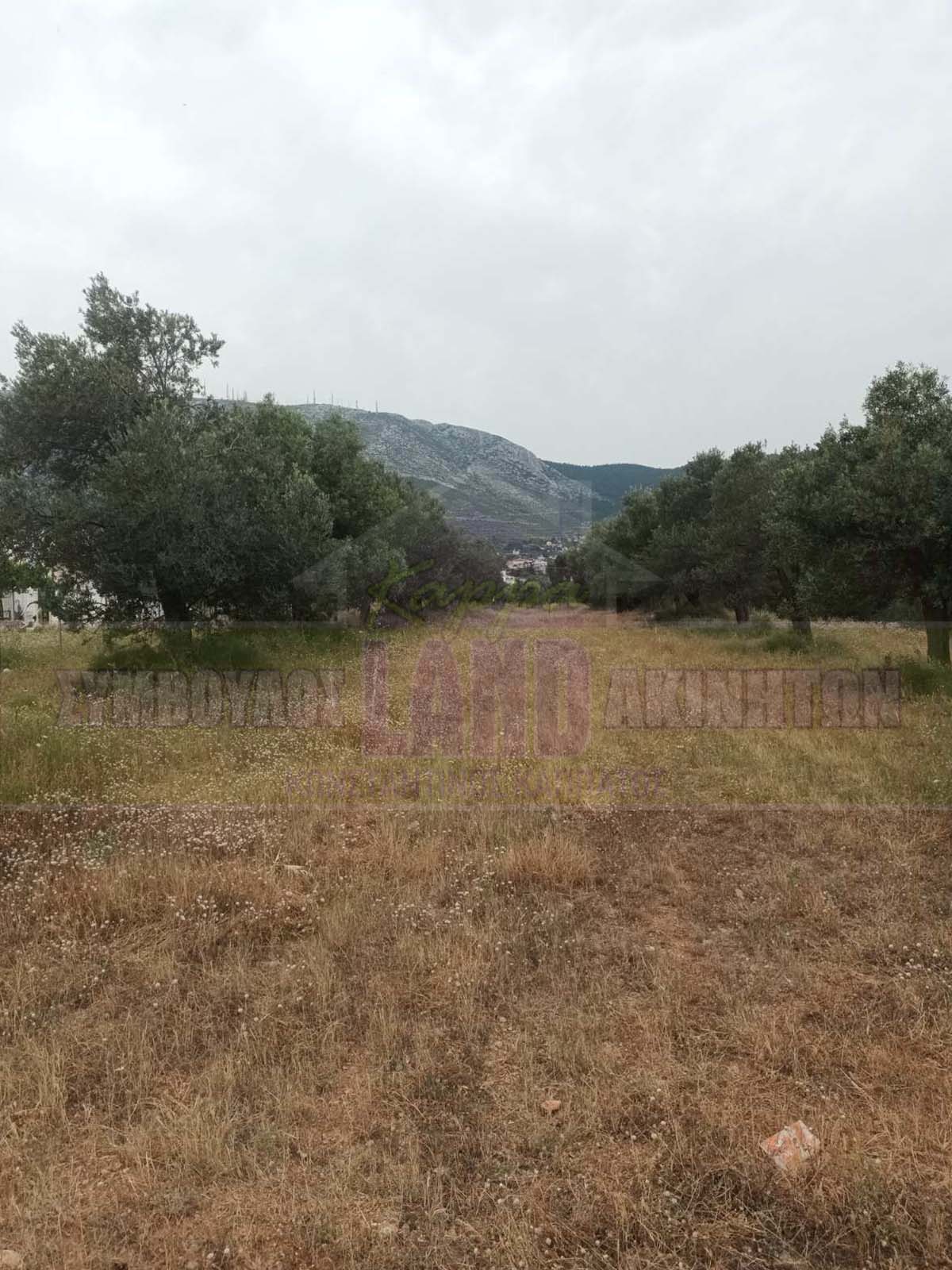 KappaLand - Σύμβουλος Ακινήτων - Κωνσταντίνος Καππάτος