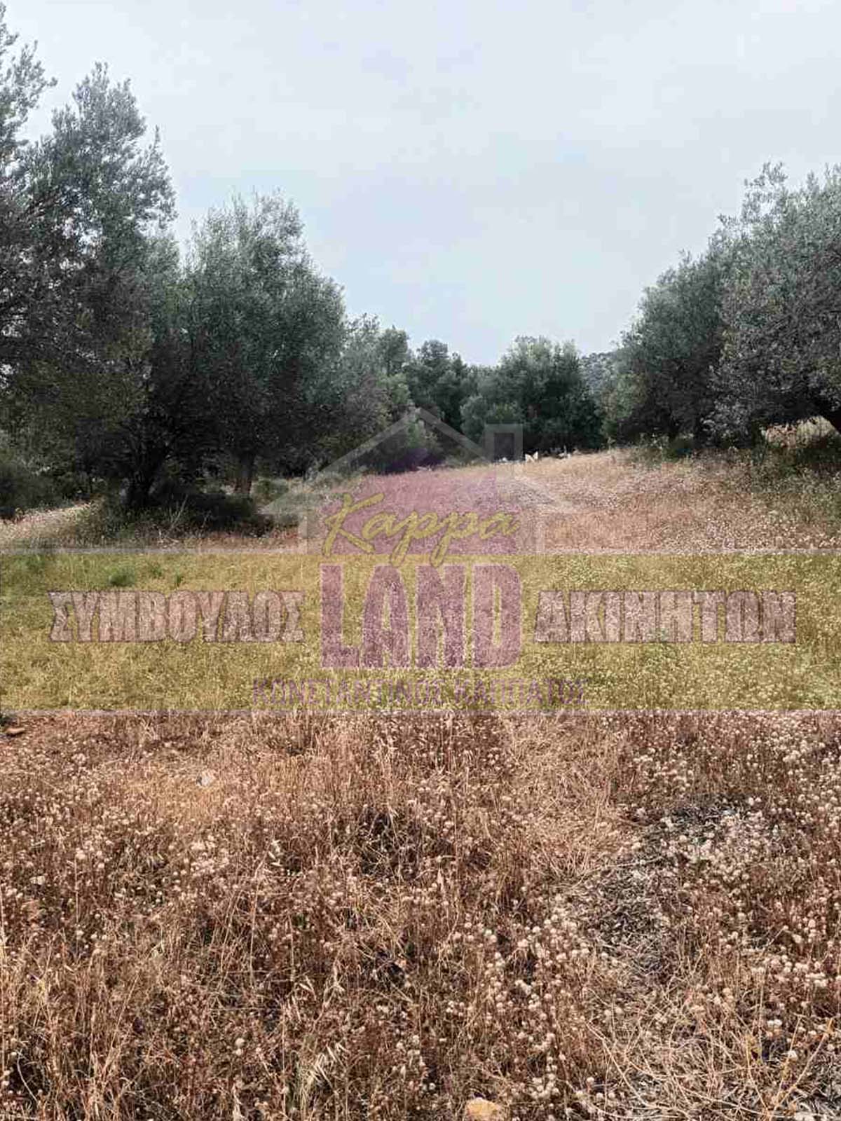 KappaLand - Σύμβουλος Ακινήτων - Κωνσταντίνος Καππάτος