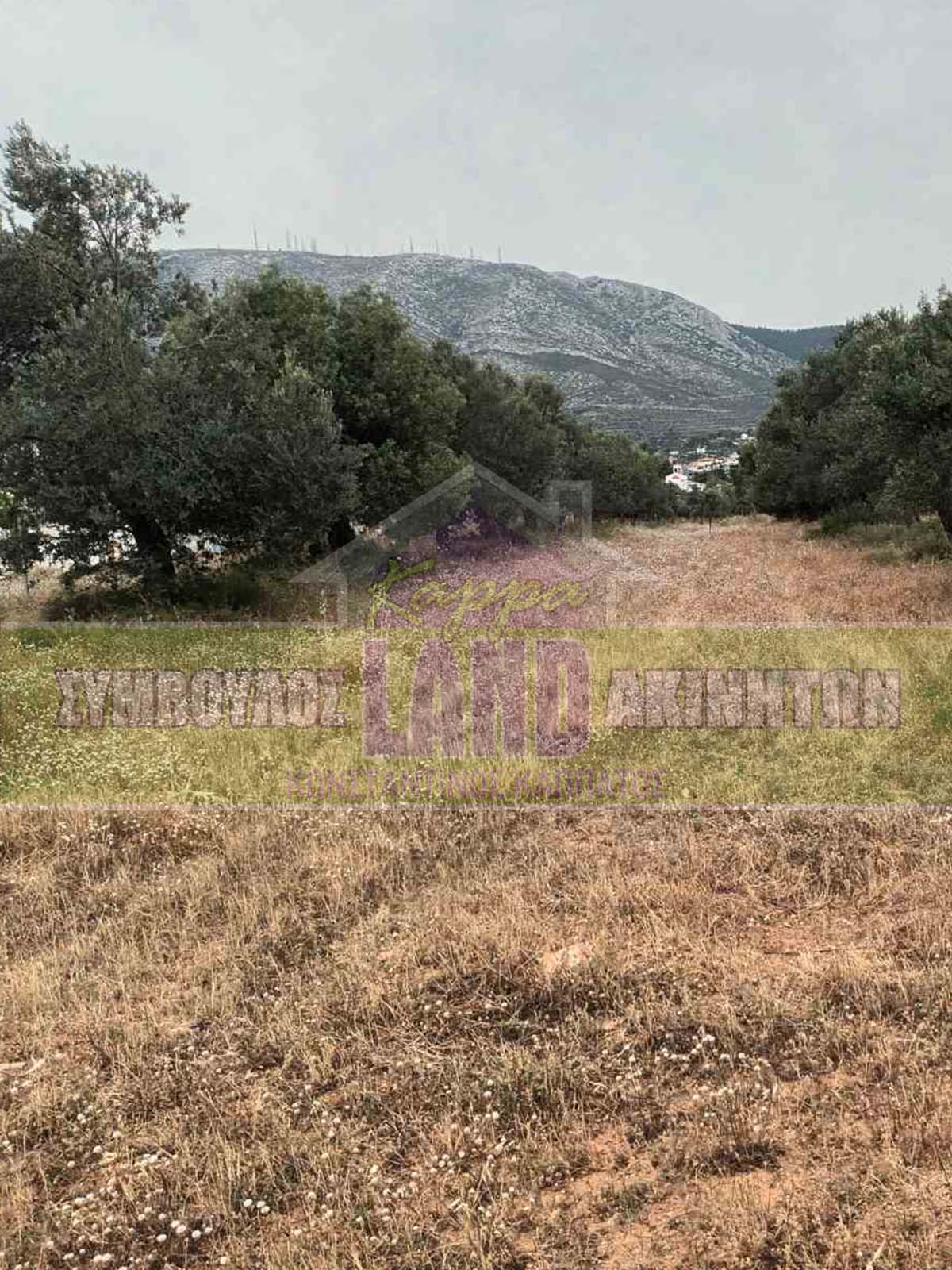 KappaLand - Σύμβουλος Ακινήτων - Κωνσταντίνος Καππάτος