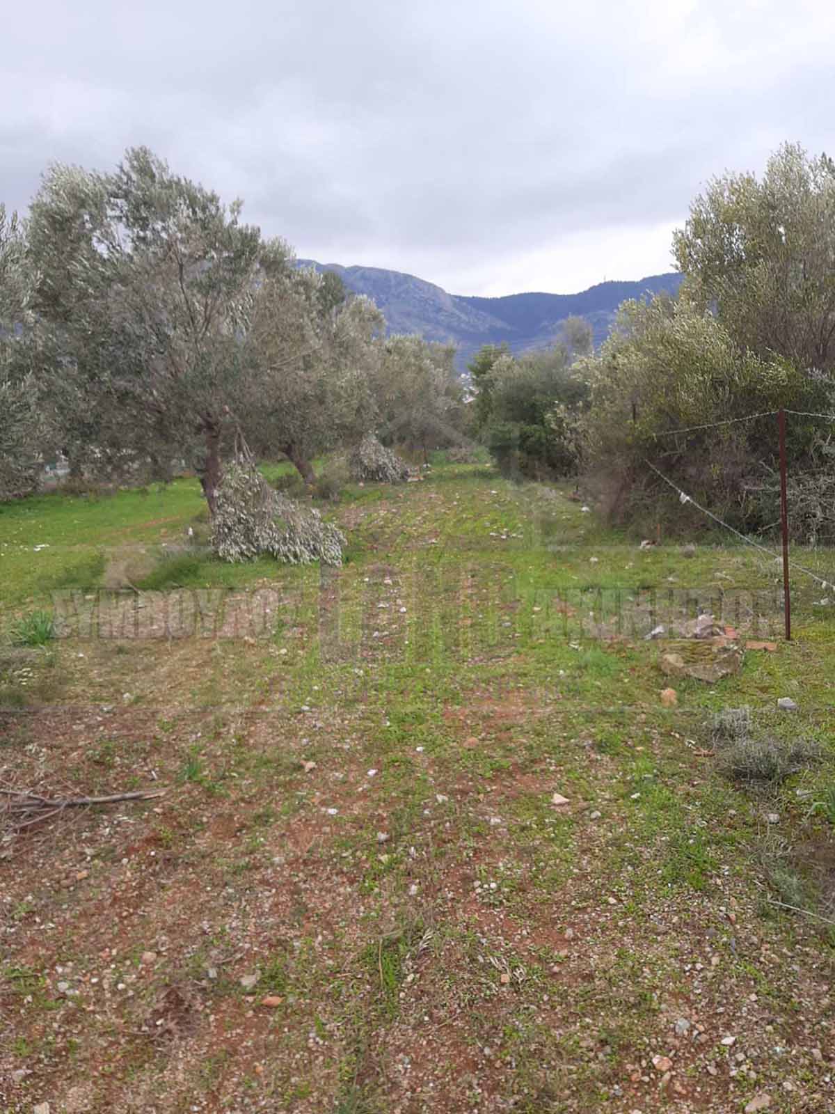 KappaLand - Σύμβουλος Ακινήτων - Κωνσταντίνος Καππάτος