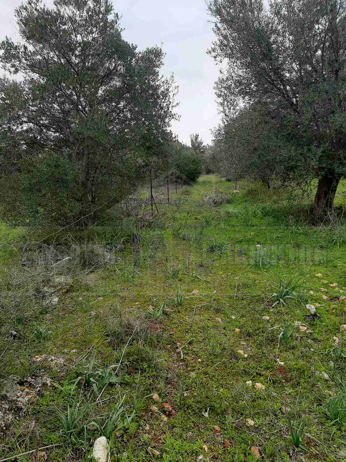 KappaLand - Σύμβουλος Ακινήτων - Κωνσταντίνος Καππάτος