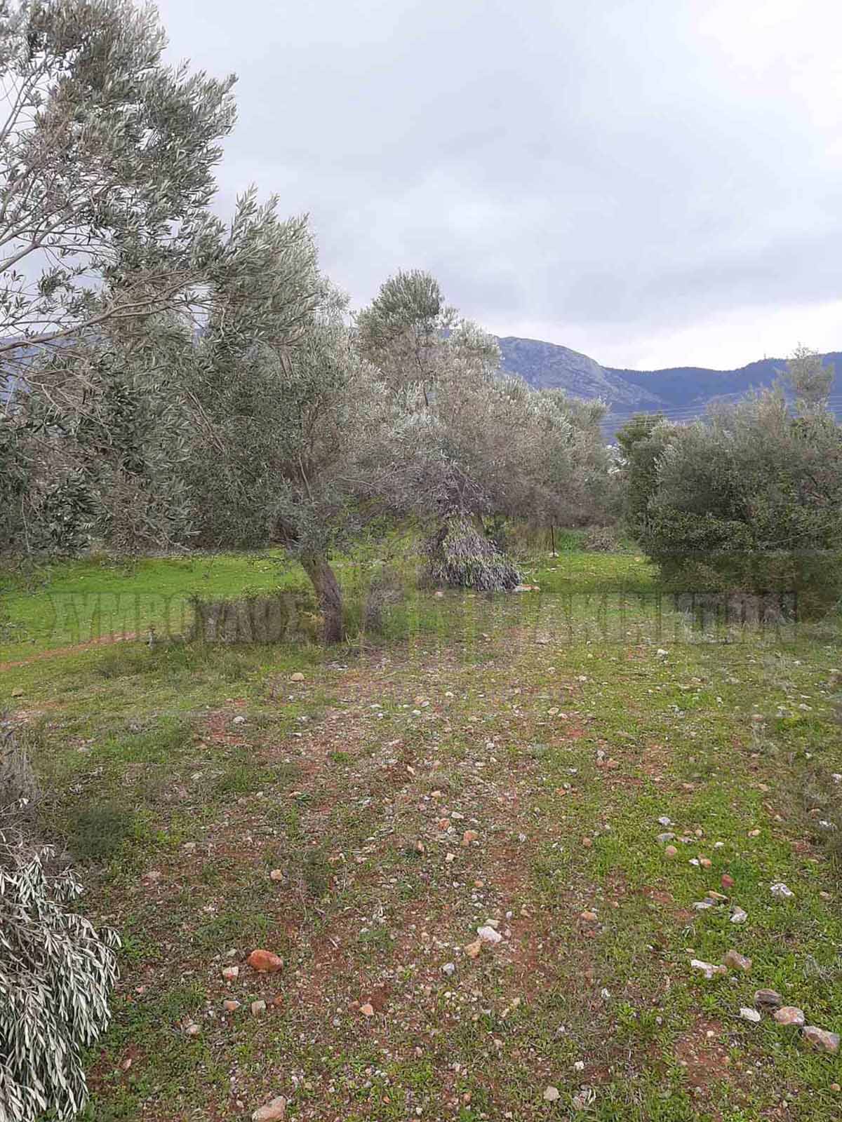 KappaLand - Σύμβουλος Ακινήτων - Κωνσταντίνος Καππάτος