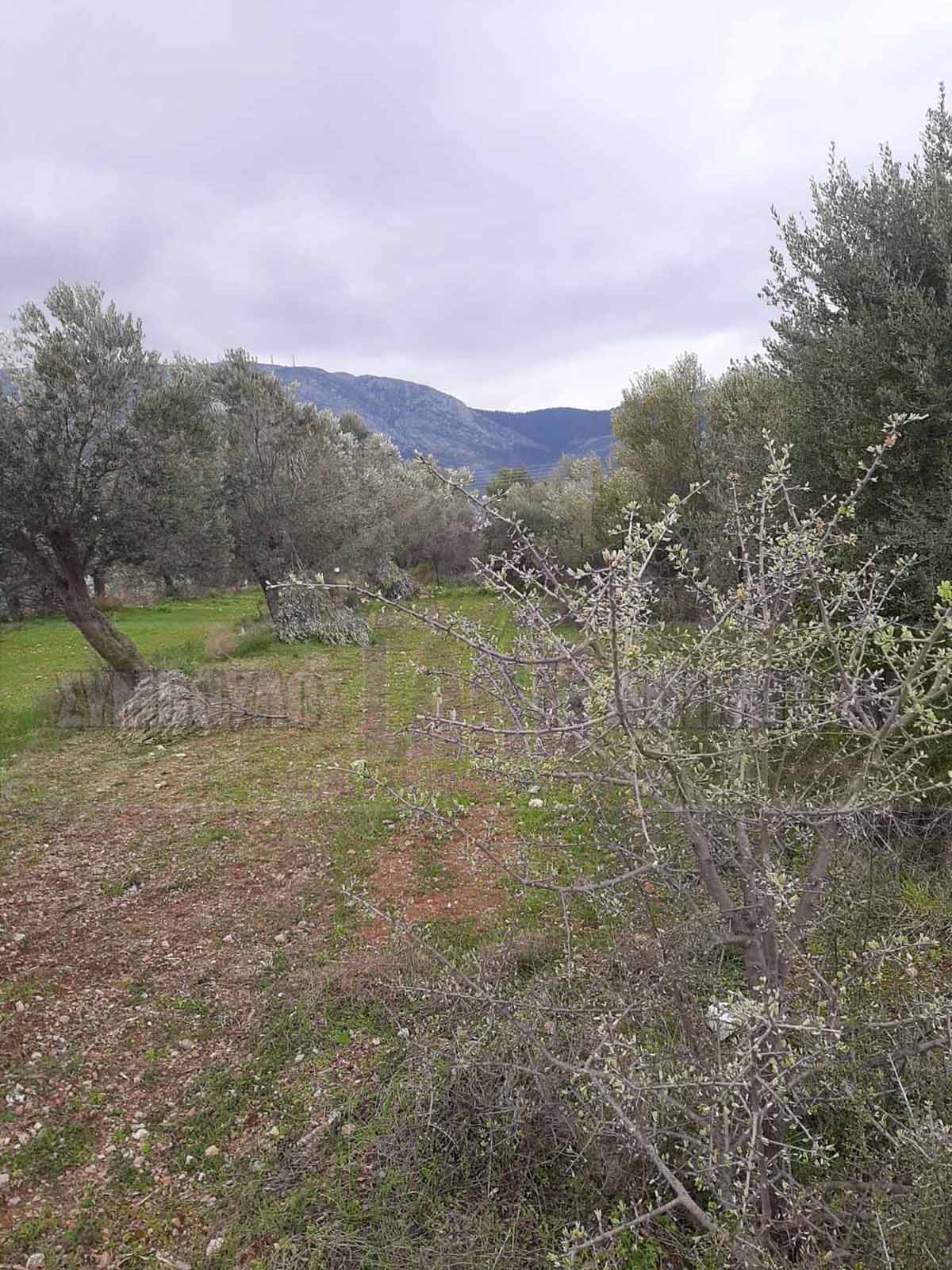 KappaLand - Σύμβουλος Ακινήτων - Κωνσταντίνος Καππάτος