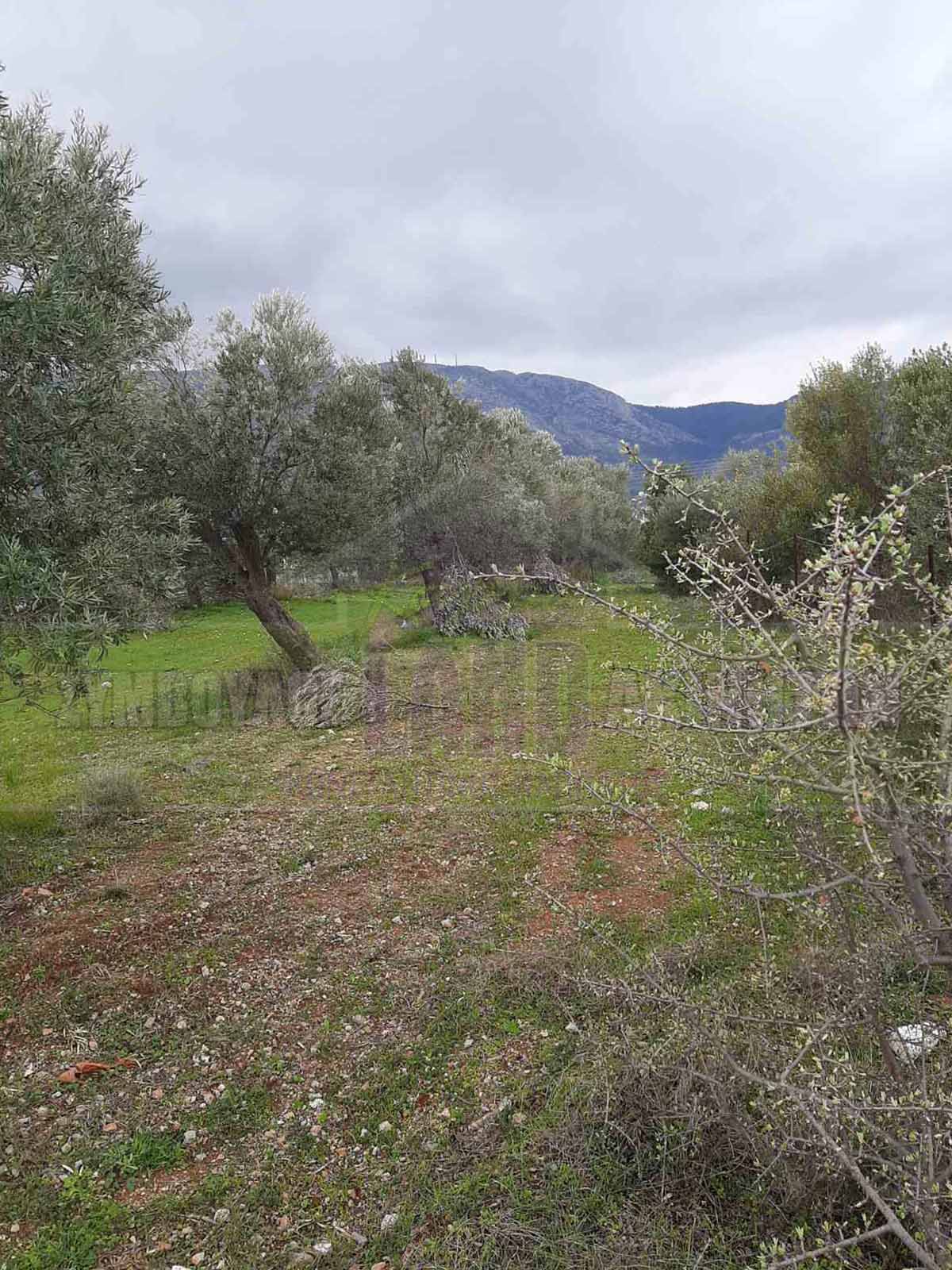 KappaLand - Σύμβουλος Ακινήτων - Κωνσταντίνος Καππάτος