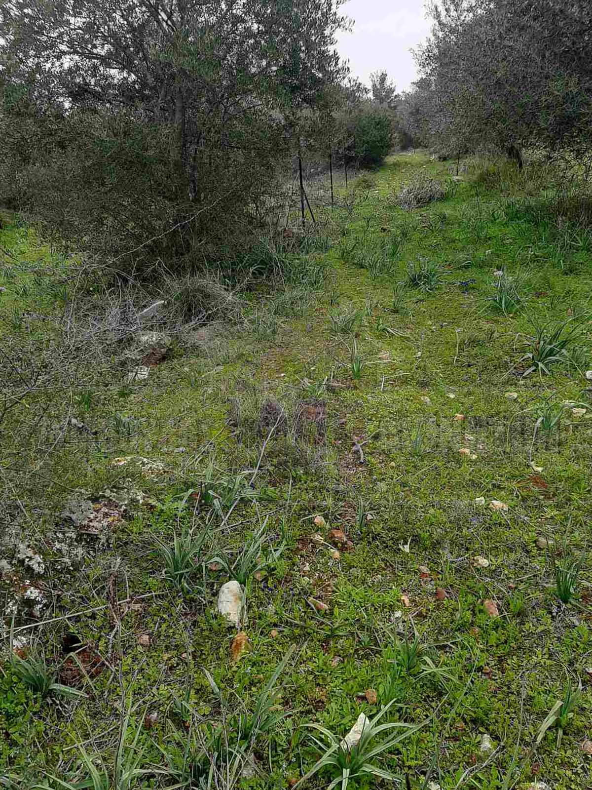 KappaLand - Σύμβουλος Ακινήτων - Κωνσταντίνος Καππάτος