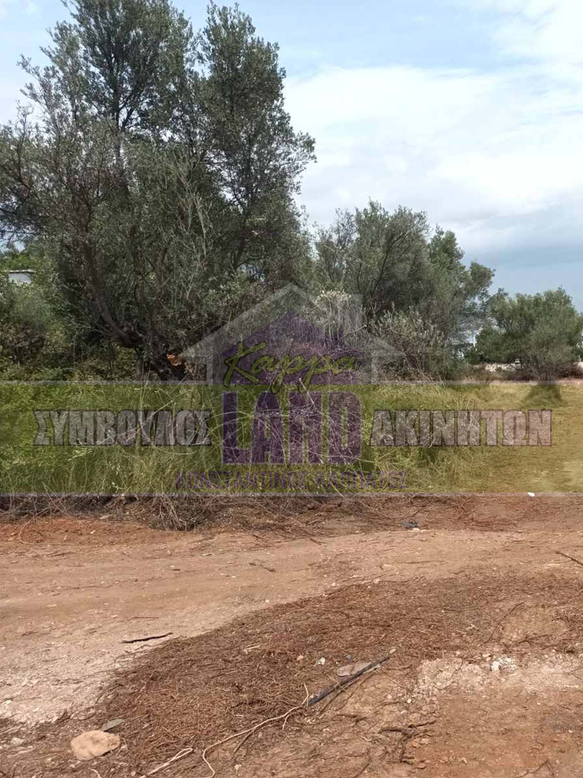 KappaLand - Σύμβουλος Ακινήτων - Κωνσταντίνος Καππάτος