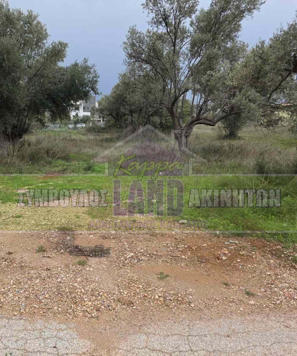 KappaLand - Σύμβουλος Ακινήτων - Κωνσταντίνος Καππάτος