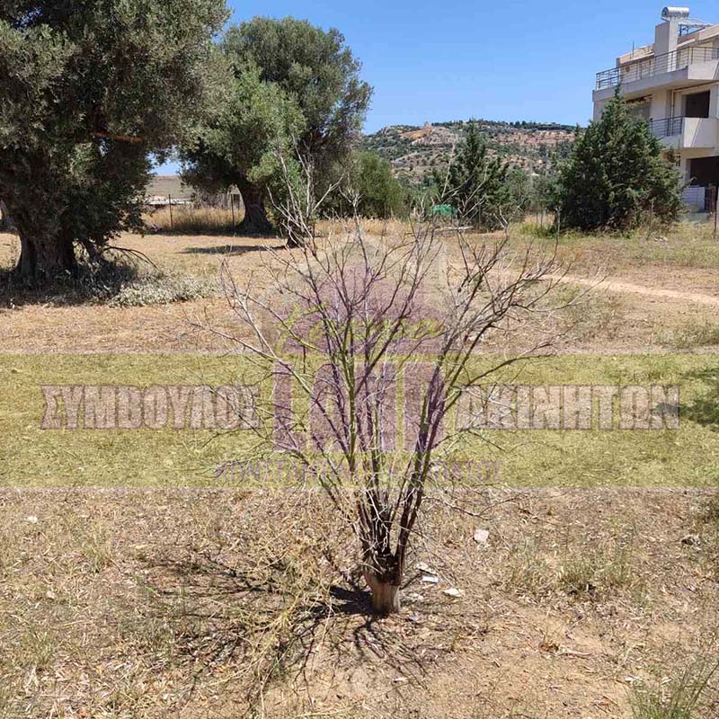 KappaLand - Σύμβουλος Ακινήτων - Κωνσταντίνος Καππάτος
