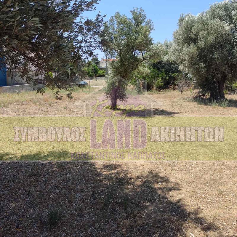 KappaLand - Σύμβουλος Ακινήτων - Κωνσταντίνος Καππάτος