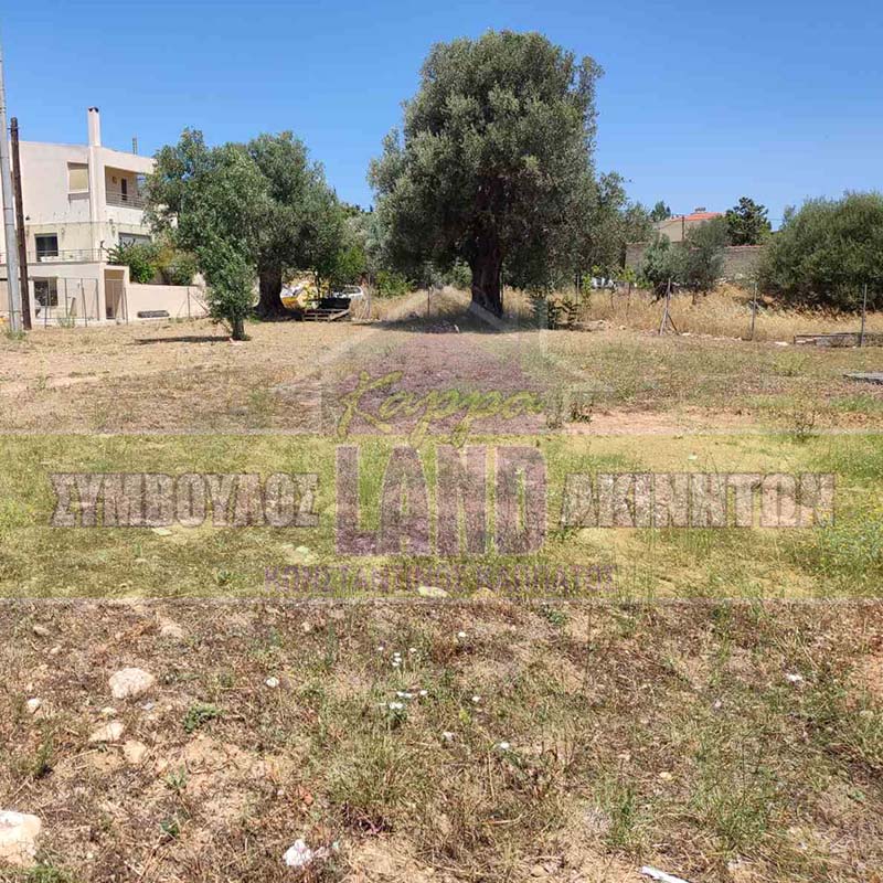 KappaLand - Σύμβουλος Ακινήτων - Κωνσταντίνος Καππάτος