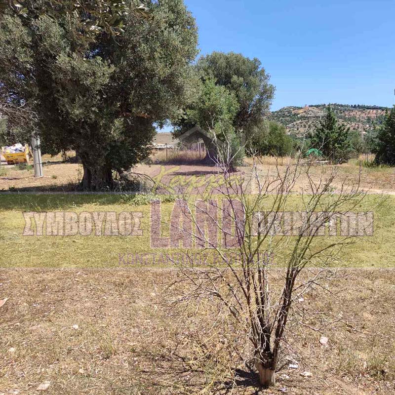 KappaLand - Σύμβουλος Ακινήτων - Κωνσταντίνος Καππάτος