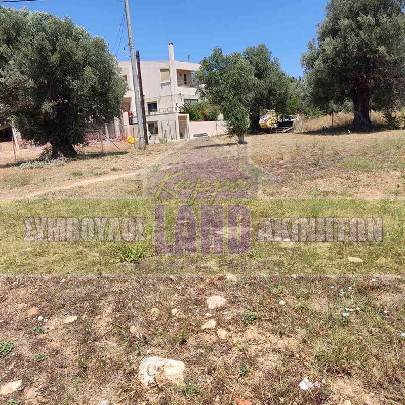 KappaLand - Σύμβουλος Ακινήτων - Κωνσταντίνος Καππάτος
