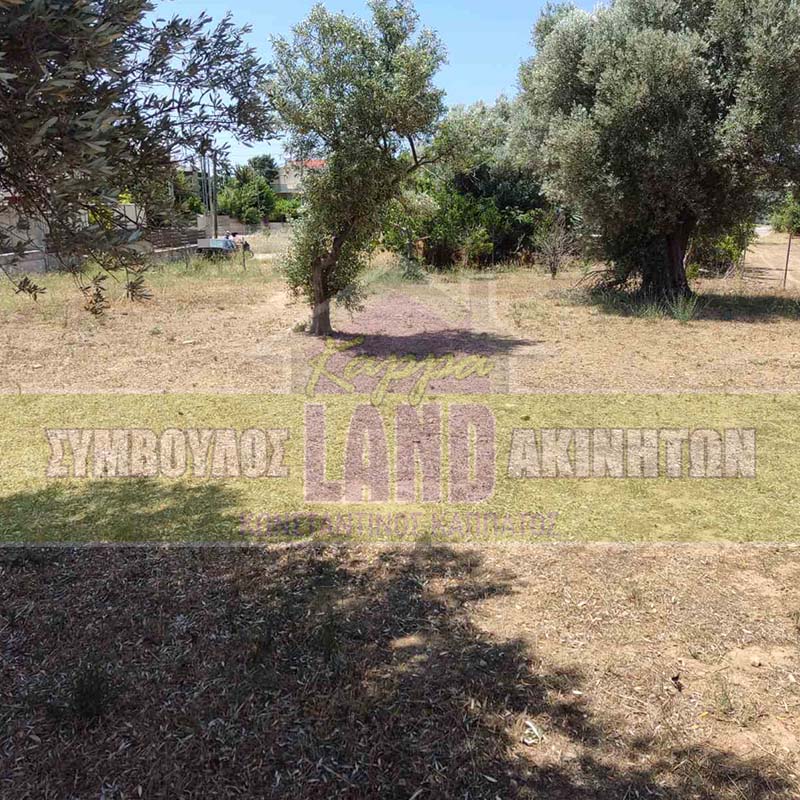KappaLand - Σύμβουλος Ακινήτων - Κωνσταντίνος Καππάτος