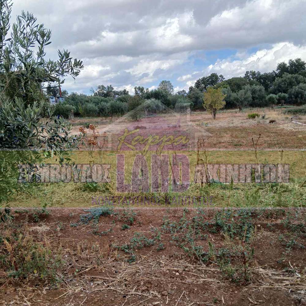 KappaLand - Σύμβουλος Ακινήτων - Κωνσταντίνος Καππάτος