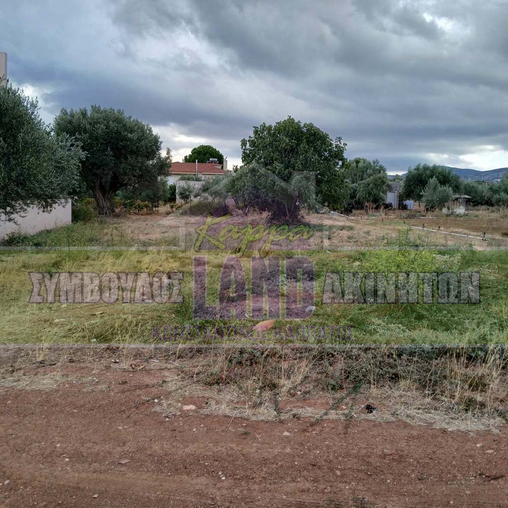 KappaLand - Σύμβουλος Ακινήτων - Κωνσταντίνος Καππάτος