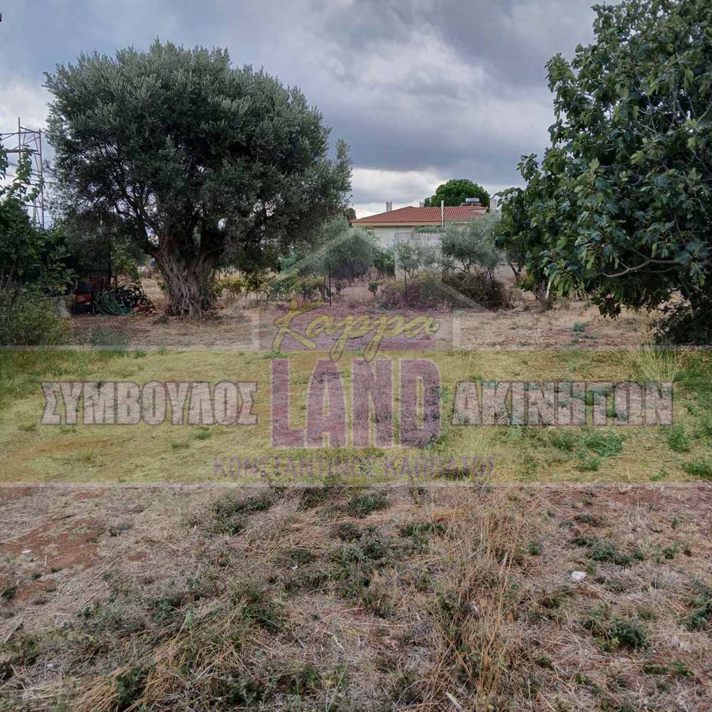 KappaLand - Σύμβουλος Ακινήτων - Κωνσταντίνος Καππάτος