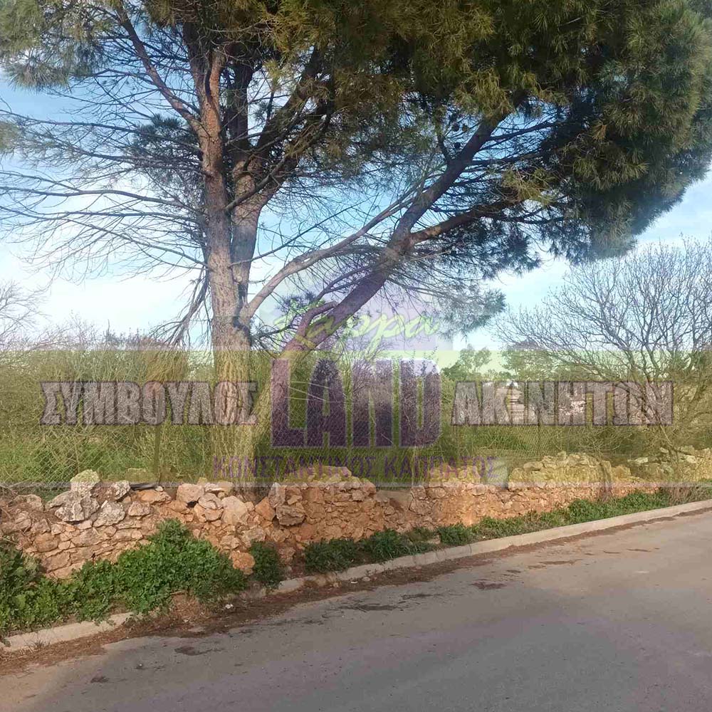 KappaLand - Σύμβουλος Ακινήτων - Κωνσταντίνος Καππάτος