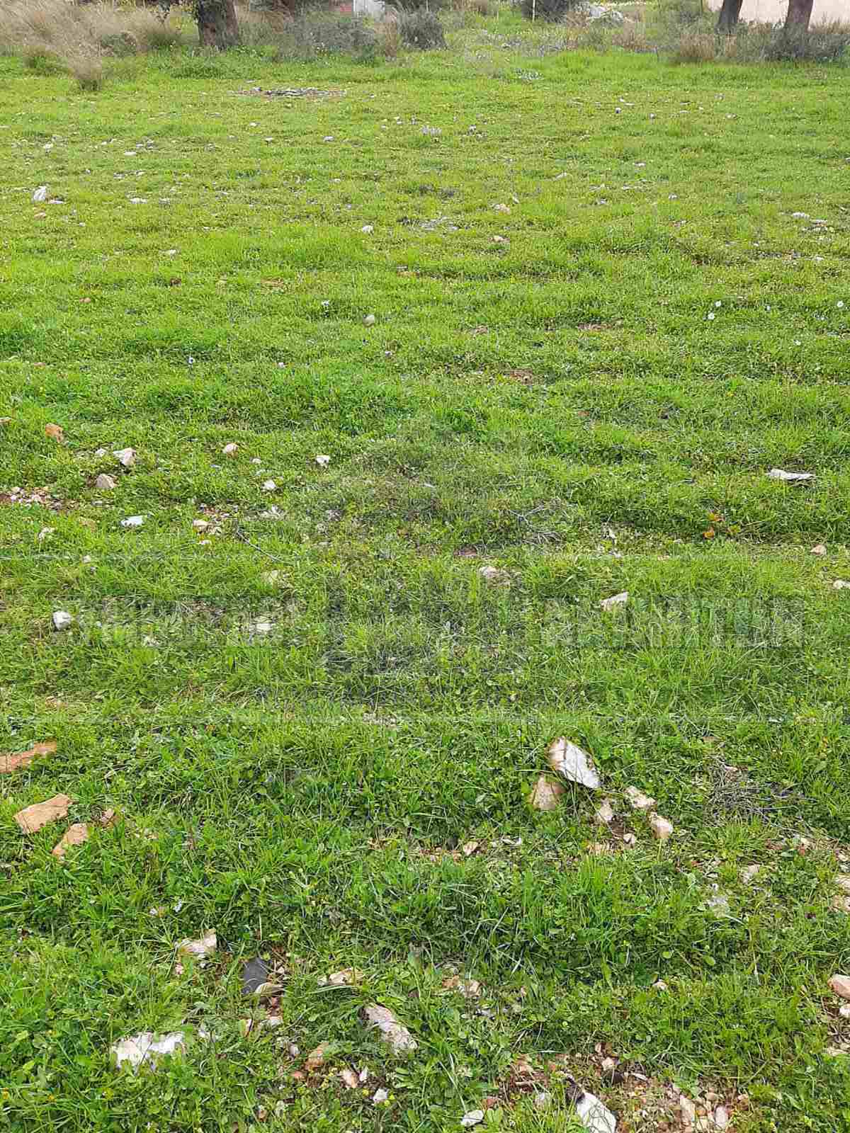 KappaLand - Σύμβουλος Ακινήτων - Κωνσταντίνος Καππάτος