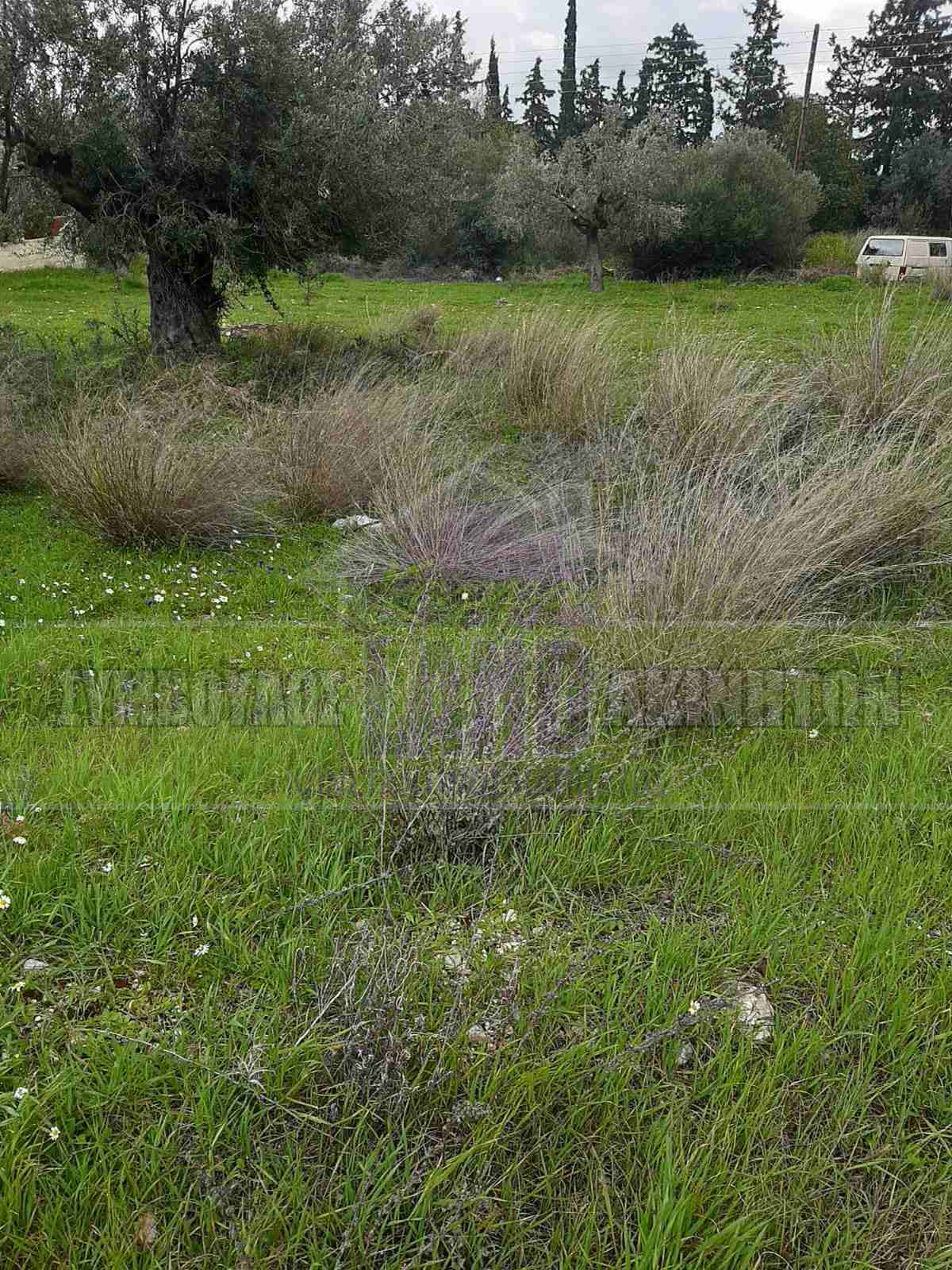 KappaLand - Σύμβουλος Ακινήτων - Κωνσταντίνος Καππάτος