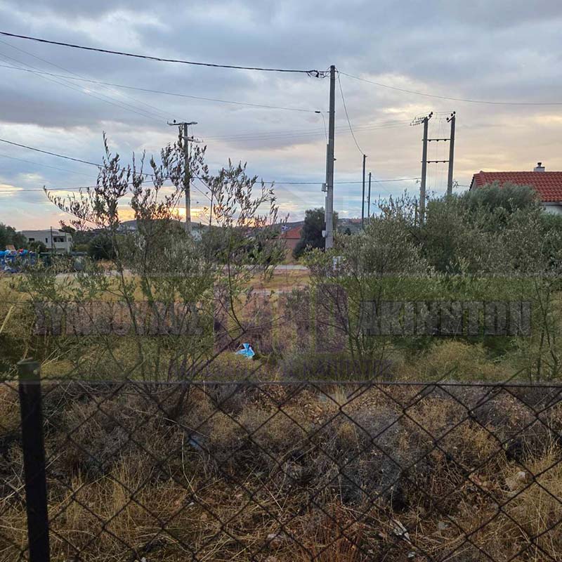 KappaLand - Σύμβουλος Ακινήτων - Κωνσταντίνος Καππάτος