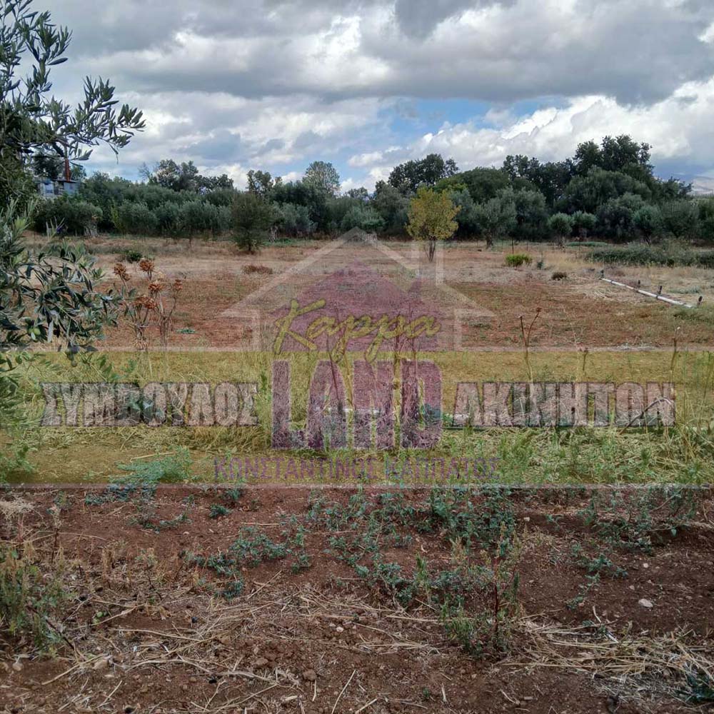 KappaLand - Σύμβουλος Ακινήτων - Κωνσταντίνος Καππάτος