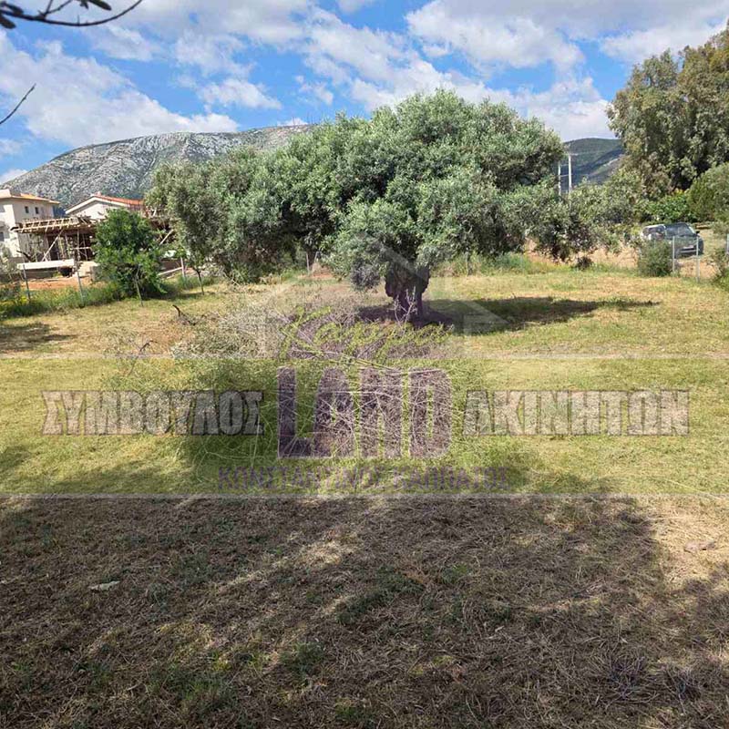 KappaLand - Σύμβουλος Ακινήτων - Κωνσταντίνος Καππάτος