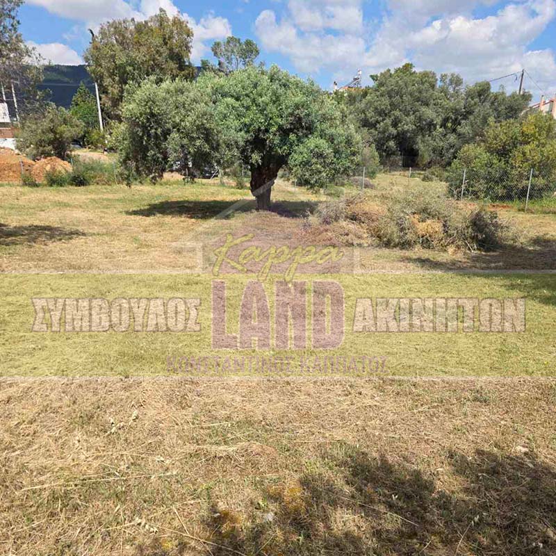 KappaLand - Σύμβουλος Ακινήτων - Κωνσταντίνος Καππάτος