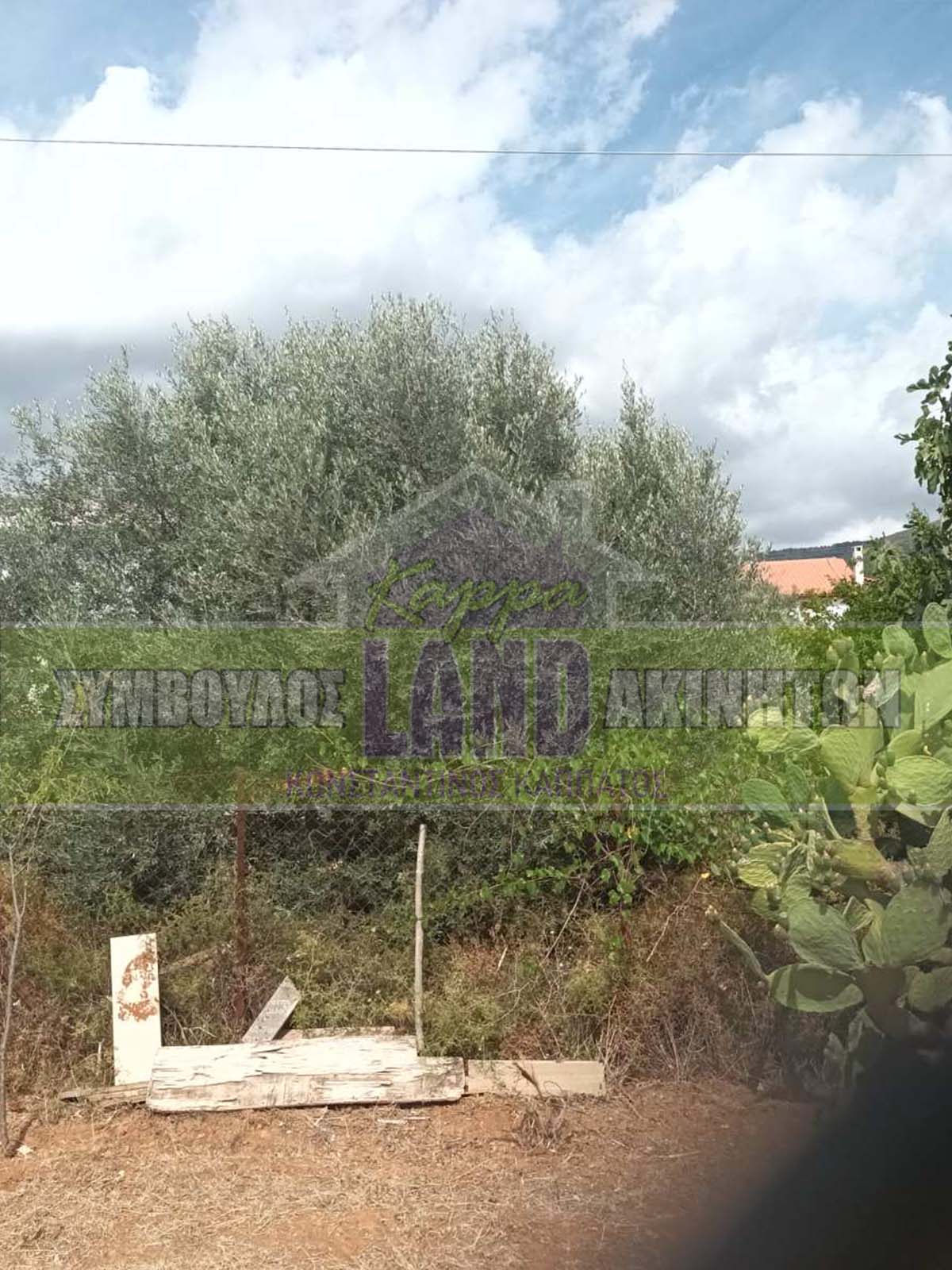 KappaLand - Σύμβουλος Ακινήτων - Κωνσταντίνος Καππάτος
