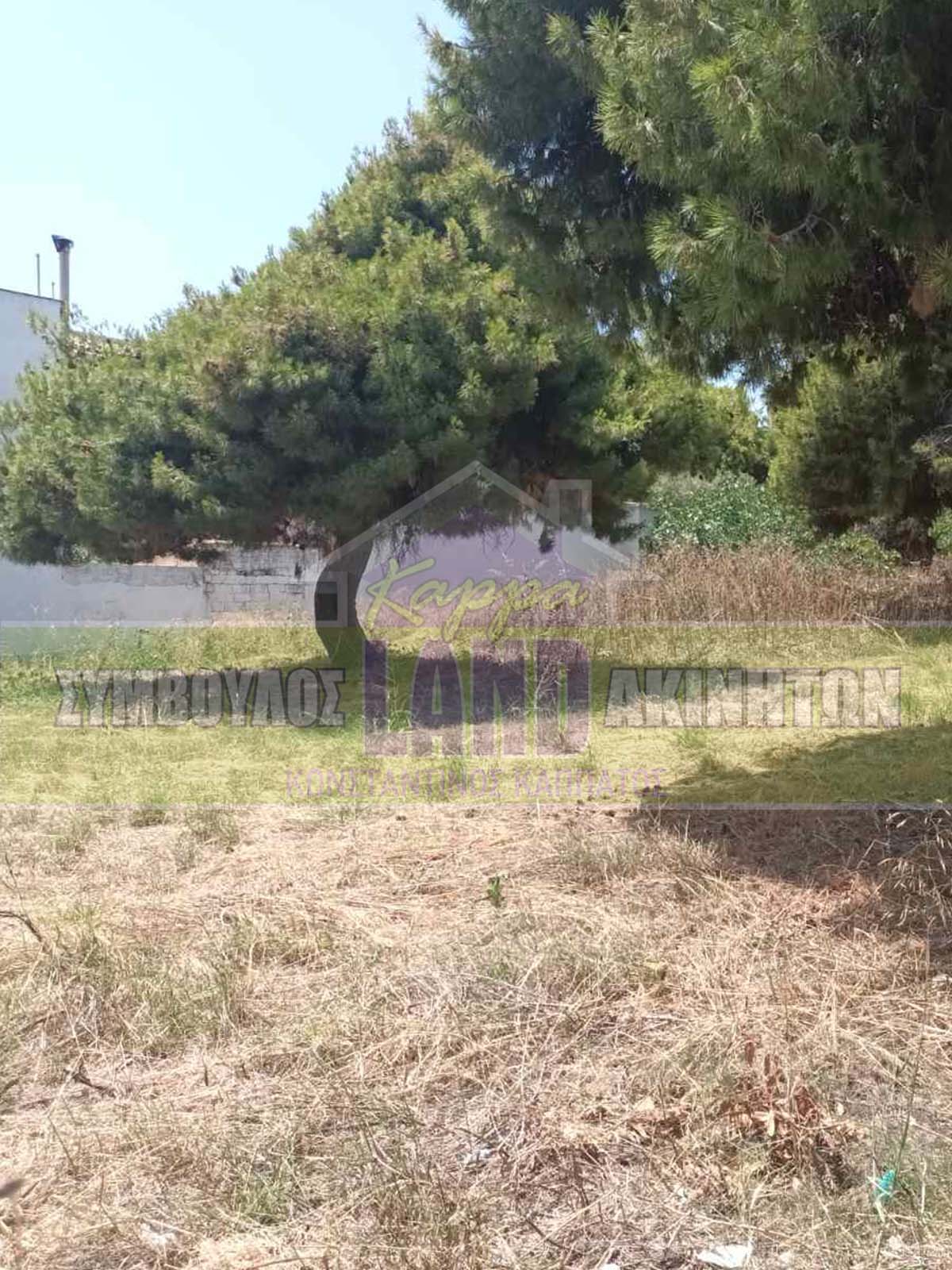 KappaLand - Σύμβουλος Ακινήτων - Κωνσταντίνος Καππάτος
