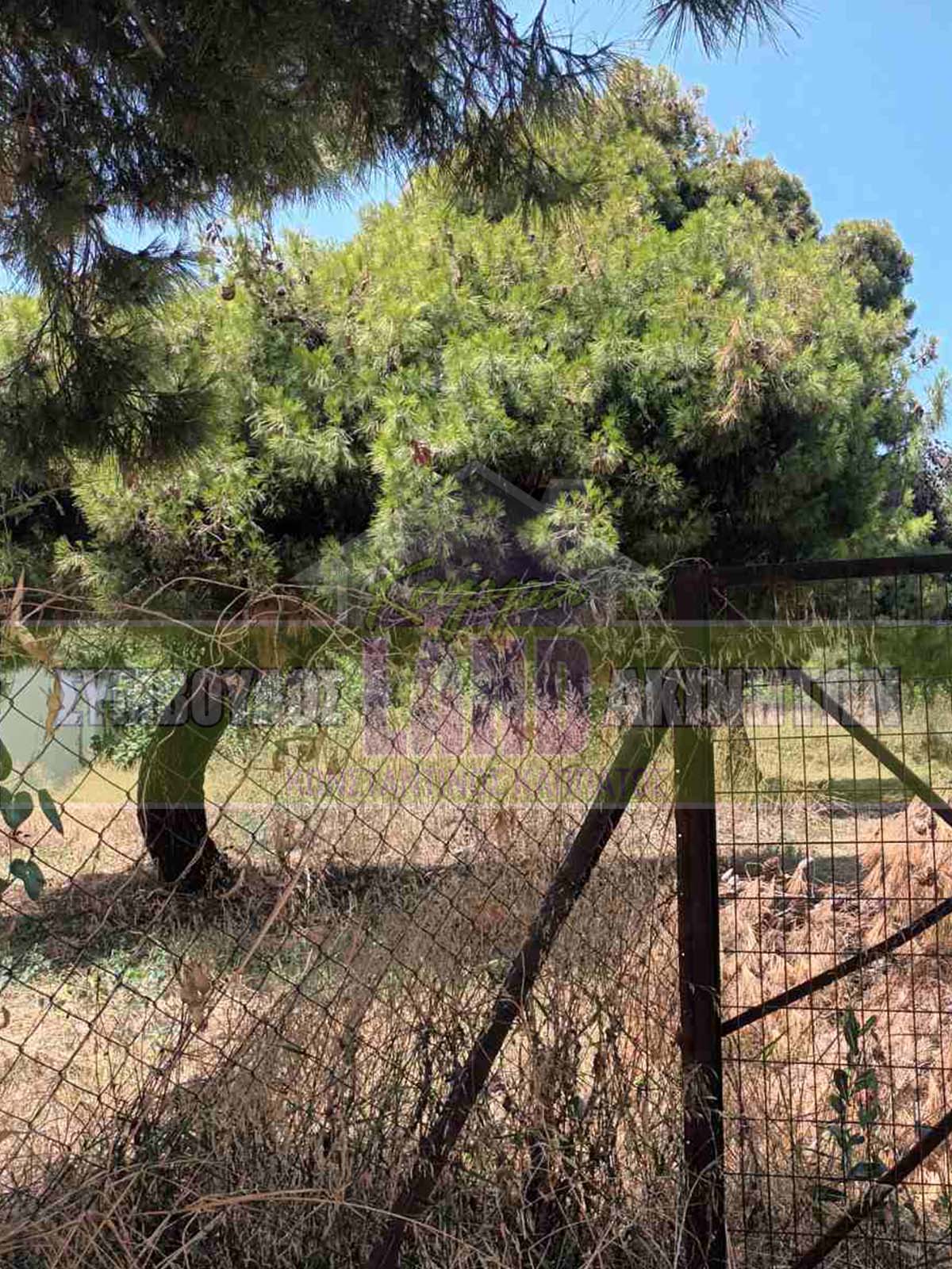 KappaLand - Σύμβουλος Ακινήτων - Κωνσταντίνος Καππάτος