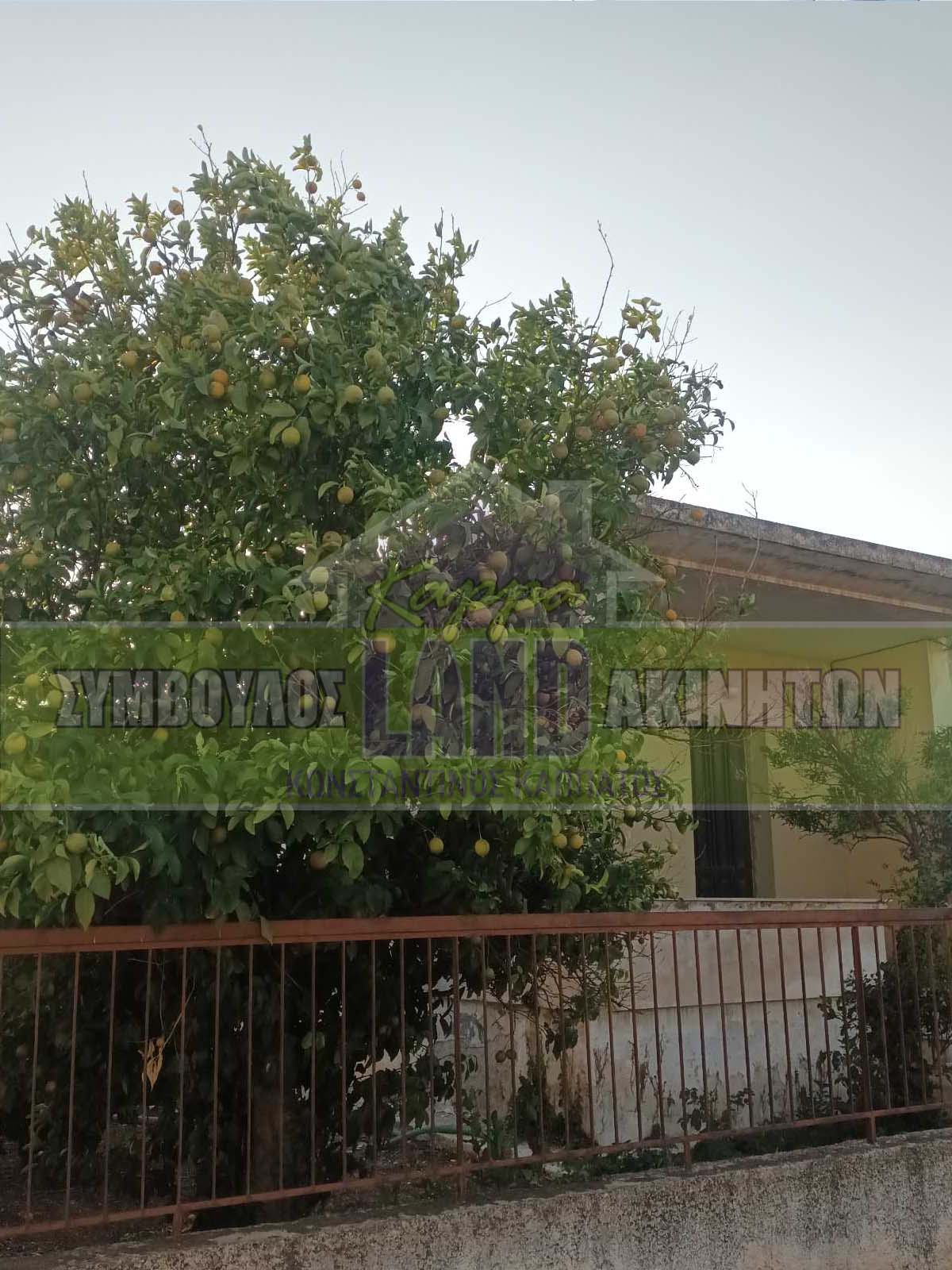KappaLand - Σύμβουλος Ακινήτων - Κωνσταντίνος Καππάτος